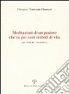 Meditazioni di un pastore che va per suoi viottoli di vita (dai colori dell'arcobaleno) libro