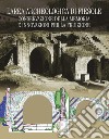 L'area archeologica di Fiesole. Conservazione della memoria e innovazioni per la fruizione libro di Sabelli R. (cur.)