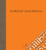 Aurelio Amendola. Il primato della luce libro