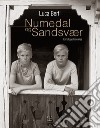 Numedal og Sandsvær. En fotografisk reise. Ediz. illustrata libro di Berti Luca