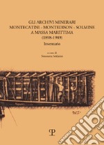 Gli archivi minerari Montecatini-Montedison-Solmine a Massa Marittima. (1898-1989) Inventario