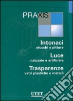 Praxis: Intonaci, stucchi e pitture-Luce naturale e artificiale-Trasparenze, vetri plastiche e metalli. Ediz. illustrata. Con CD-ROM libro