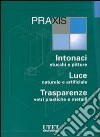 Praxis: Intonaci, stucchi e pitture-Luce naturale e artificiale-Trasparenze, vetri plastiche e metalli. Ediz. illustrata. Con CD-ROM libro