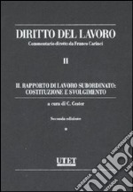 Diritto del lavoro. Vol. 2: Il rapporto di lavoro subordinato: costituzione e svolgimento libro