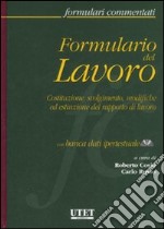 Formulario del lavoro. Costituzione, svolgimento, modifiche ed estinzione del rapporto di lavoro. Con CD-ROM libro