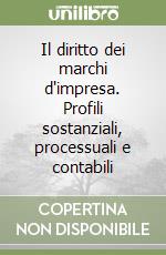 Il diritto dei marchi d'impresa. Profili sostanziali, processuali e contabili