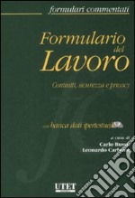 Formulario del lavoro. Contratti, sicurezza e privacy. Con CD-ROM libro