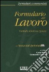 Formulario del lavoro. Contratti, sicurezza e privacy. Con CD-ROM libro