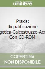 Praxis: Riqualificazione energetica-Calcestruzzo-Acciaio. Con CD-ROM libro