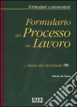 Formulario del processo del lavoro. Con CD-ROM libro