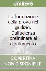 La formazione della prova nel giudizio. Dall'udienza preliminare al dibattimento libro