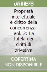 Proprietà intellettuale e diritto della concorrenza. Vol. 2: La tutela dei diritti di privativa libro