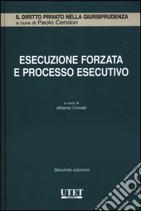 Esecuzione forzata e processo esecutivo