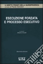 Esecuzione forzata e processo esecutivo libro