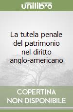 La tutela penale del patrimonio nel diritto anglo-americano libro