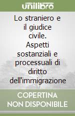 Lo straniero e il giudice civile. Aspetti sostanziali e processuali di diritto dell'immigrazione libro