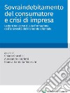 Sovraindebitamento del consumatore e crisi di impresa. Lezioni del corso di alta formazione dell'Università del Piemonte orientale libro