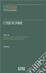 Cybercrime libro