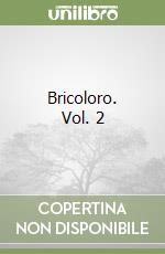 Bricoloro. Vol. 2 libro