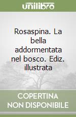 Rosaspina. La bella addormentata nel bosco. Ediz. illustrata libro