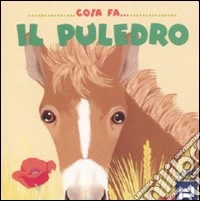 Cosa fa il puledro. Ediz. illustrata libro