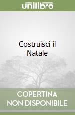 Costruisci il Natale libro