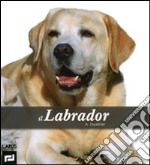 Il labrador. Ediz. illustrata libro