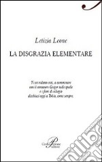 La disgrazia elementare libro