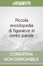 Piccola enciclopedia di figuracce in cento parole libro