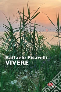 Vivere stanze poetiche libro