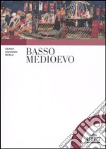 Basso Medioevo libro