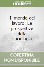 Il mondo del lavoro. Le prospettive della sociologia libro