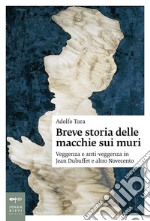 Breve storia delle macchie sui muri. Veggenza e anti-veggenza in Jean Dubuffet e altro Novecento libro