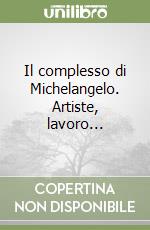 Il complesso di Michelangelo. Artiste, lavoro... libro