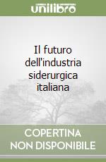 Il futuro dell'industria siderurgica italiana libro