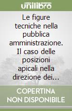 Le figure tecniche nella pubblica amministrazione. Il caso delle posizioni apicali nella direzione dei sistemi IT