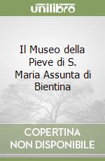 Il Museo della Pieve di S. Maria Assunta di Bientina libro