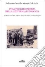 Sviluppo e decadenza della geotermia in Toscana. I soffioni boraciferi da fonte di materie prime a fluido energetico libro