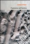 Cammino nell'anima libro