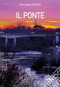 Il ponte libro
