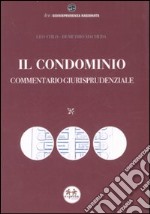 Il condominio. Commentario giurisprudenziale libro