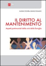 Il diritto al mantenimento. Aspetti patrimoniali della crisi della famiglia