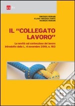 Il collegato lavoro. Le novità sul contenzioso del lavoro introdotte dalla L. 4 novembre 2010, n. 183 libro