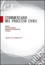 Strumentario del processo civile. Norme, giurisprudenza, commento sistematico, formule libro