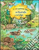 Il mio grande libro del ruscello e lago. Ediz. illustrata libro