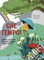 Che tempo! Notizie e curiosità su nuvole, pioggia, neve, vento... libro