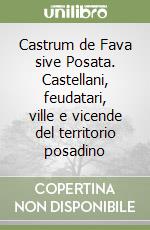 Castrum de Fava sive Posata. Castellani, feudatari, ville e vicende del territorio posadino libro