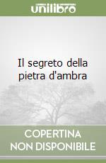 Il segreto della pietra d'ambra libro