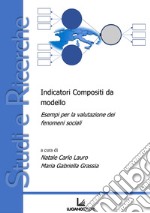 Indicatori compositi da modello. Esempi per la valutazione dei fenomeni sociali libro