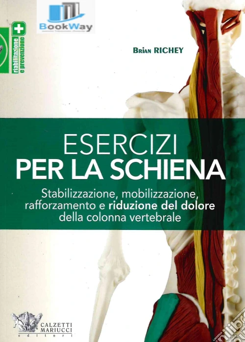Esercizi per la schiena